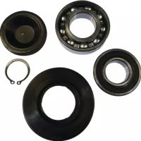 KIT DE ROLAMENTOS DE BASE BASCULANTE A PARTIR DE 22111