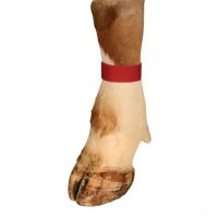 Faixas de marcação vermelhas de 36 cm