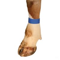 Faixas de marcação em velcro azul (10 unidades)