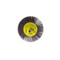 Disco de lamelas 60x15x6mm K80 RTT