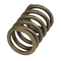 Mola da valvula - Interna/Descarga