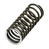 Mola da valvula interna