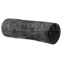 BOTTOM HOSE Ø 49 X 49 MM