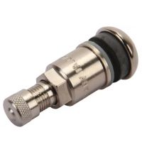 Válvula sem tubo EVO 111 + p